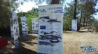 2015_05_09_ria_formosa_3.jpg - 