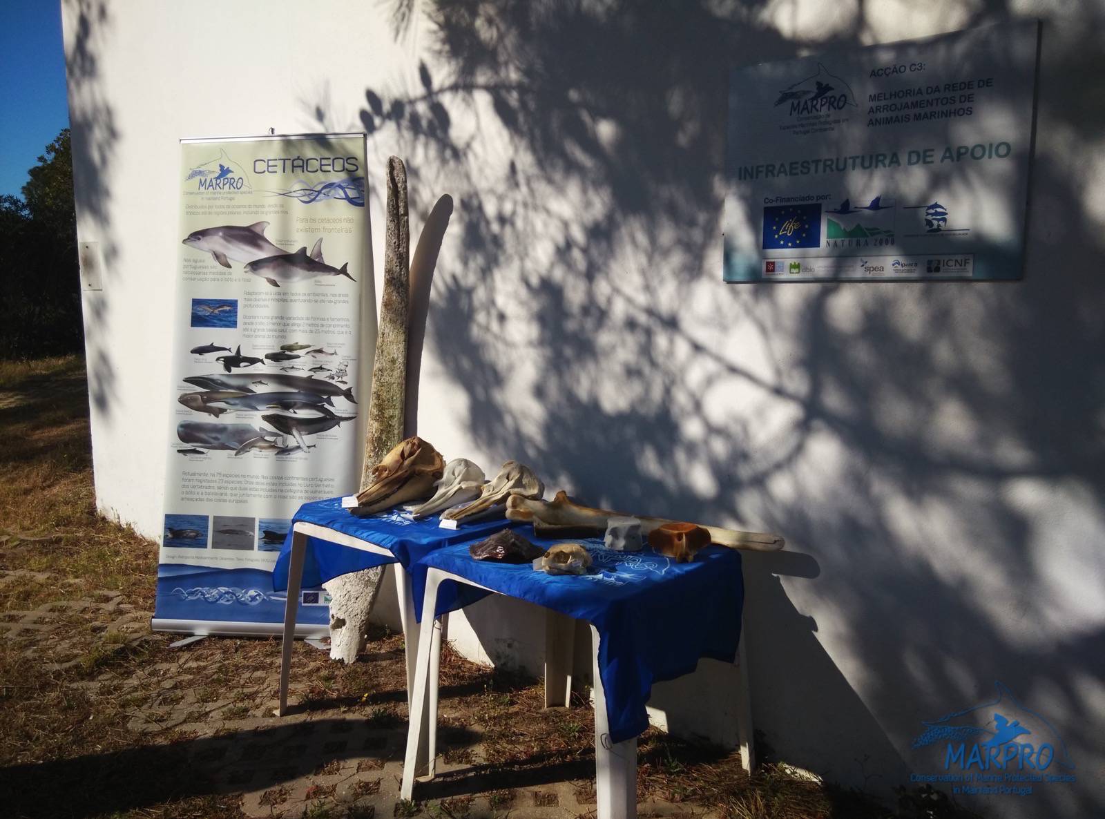 Ria Formosa Week, April 4-9, 2016